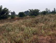Industrial land for sale in Bugesera near airport of Rwanda  hot deal - Image 4