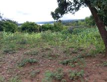 Rwanda Farming Land for Sale in Bugesera – Mayange - Image 3