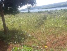 Land for sale in Bugesera RILIMA near airport of Rwanda hot deal access on lake - Image 4