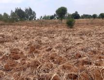 farming land for sale in Bugesera Mayange Rwanda good deal - Image 4