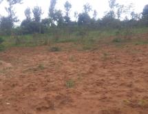Land for sale in Bugesera RILIMA near airport of Rwanda hot deal  Access on main road  - Image 2