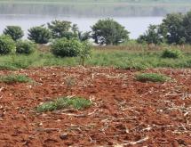 Land for sale in Bugesera RILIMA near airport of Rwanda hot deal access on lake - Image 4