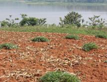 Land for sale in Bugesera RILIMA near airport of Rwanda hot deal access on lake - Image 1