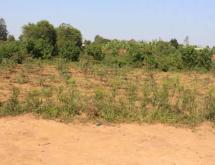 Plot for sale in Bugesera Near airport of Rwanda - Image 4