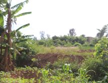 Land for sale in Gashora Bugesera Rwanda Residential and Agriculture - Image 2