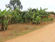 Kigali Commercial land for sale in Nyarugenge Kanyinya  Good deal on top mountain  - Image 3