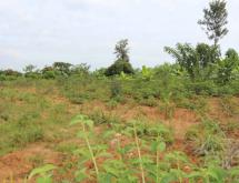 Kigali Commercial land for sale in Nyarugenge Kanyinya  Good deal on top mountain  - Image 4