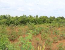 Kigali Commercial land for sale in Nyarugenge Kanyinya  Good deal on top mountain  - Image 1