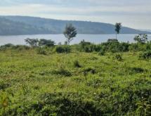 Ecotourism and Hotel plot for sale in Muhazi Rwamagana good deal access on lake - Image 1