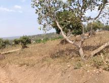 Kigali plot for sale in Kagarama  - Image 1