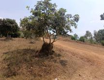 Kigali plot for sale in Kagarama  - Image 4