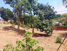 Kigali stunning plot for sale in Gishushu upper side of the road - Image 2