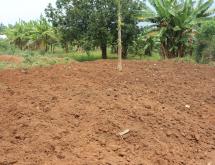  Bugesera Residential land for sale Juru near airport of Rwanda - Image 3