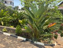 Kigali Fully furnished House for rent in Kibagabaga  - Image 3