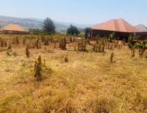 The Big Residential Land for Sale Near Kabuga – Nice Views & Prime Investment Opportunity - Image 5