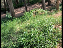 Kigali Prime Plot for Sale in Gacuriro  - Image 2
