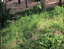 Kigali Prime Plot for Sale in Gacuriro  - Image 1