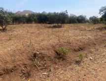 Kigali plot for sale in Kagarama  - Image 4