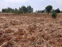 Land for sale in Bugesera RILIMA near airport of Rwanda hot deal access on lake - Image 3