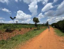Kigali Rwanda plot for sale in Bugesera  - Image 4