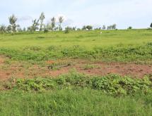 Ecotourism and Hotel and Commercial plot for sale in Gashora Bugesera good deal access on lake - Image 3