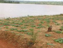 Land for sale in Bugesera RILIMA near airport of Rwanda hot deal access on lake - Image 1