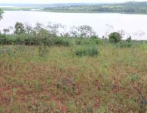 Land for sale in Bugesera RILIMA near airport of Rwanda hot deal access on lake - Image 3