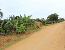 Residential Plot for Sale in Shyorongi - Image 1