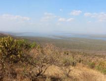 Ecotourism and Hotel plot for sale in Akagera national park Kayanza - Image 3