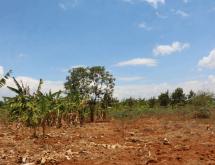 Residential land for sale Juru near airport of Rwanda Good view  - Image 5