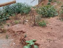 Kigali big plot for sale in Kimironko, Kibagabaga - Image 5