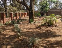 kigali Large Residential Plot with Old House for Sale in Kimihurura OnTarmac Road - Image 5