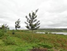 Kigali Rwamagana Gishari Gati Tourism Plot for Sale - Image 5