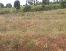An attractive plot of land is available for sale in Kanyinya, Nyarugenge District, Kigali, located on top of a mountain. - Image 3