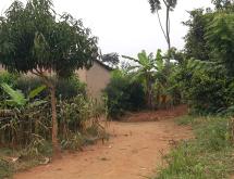 Residential Land for sale in Rilima near airport - Image 1