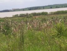 Land for sale in Bugesera RILIMA near airport of Rwanda hot deal access on lake - Image 1