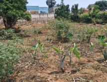 Residential Land for sale in Rilima near airport of Rwanda  - Image 2