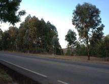 Kigali Plot for sale in Nyamagabe Kigeme - Image 3