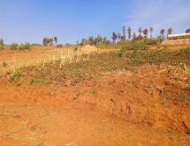 A nice plot of 320sqm for sale in Kigali Musave- Bumbogo - Image 3