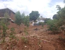 Prime 500 SQM Plot  with  roads access in Rebero – Near Nobleza Resort - Image 3