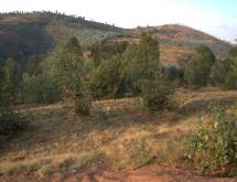 Kigali Plot for sale in Nyamagabe Kigeme - Image 5