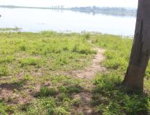 Land for sale in Bugesera RILIMA near airport of Rwanda hot deal Access on Lake - Image 2