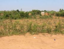 Ecotourism and Hotel plot for sale in  Bugesera near airport of Rwanda access on main road from airport - Image 4