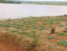 Land for sale in Bugesera Gashora of Rwanda hot deal access on lake - Image 4