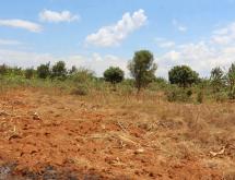 Land for sale in Bugesera kamabuye Rwanda hot deal - Image 5