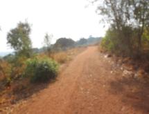 Land for sale in Bugesera Kamabuye Rwanda hot deal - Image 4
