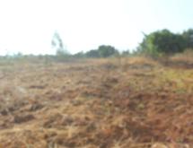 Land for sale in Bugesera Kamabuye Rwanda hot deal - Image 1