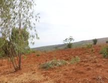 Land for sale in Bugesera kamabuye Rwanda hot deal - Image 3