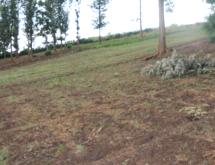 Land for sale in Bugesera Rwanda Kamabuye with Macadamia tress Access on Lake - Image 1