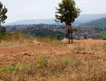 Kigali Residential Land for sale in Masaka  - Image 2
